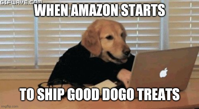 Good dogo | WHEN AMAZON STARTS; TO SHIP GOOD DOGO TREATS | image tagged in dogooo hacker | made w/ Imgflip meme maker