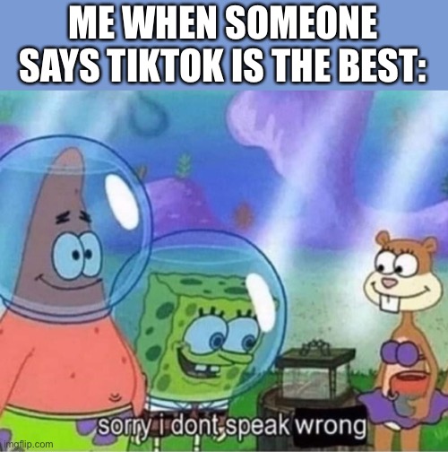 ME WHEN SOMEONE SAYS TIKTOK IS THE BEST: | image tagged in funny | made w/ Imgflip meme maker