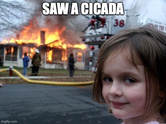 Disaster Girl | SAW A CICADA | image tagged in memes,disaster girl,cicada war | made w/ Imgflip meme maker