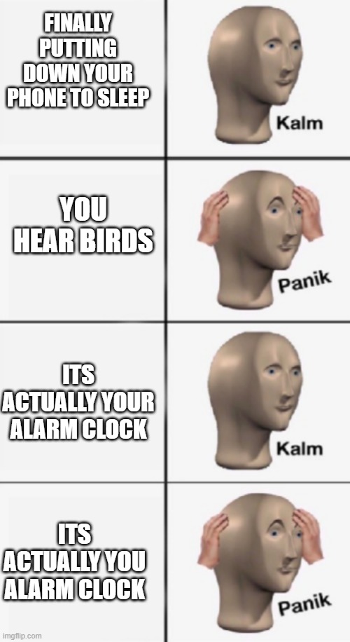 kalm PANIK kalm PANIK | FINALLY PUTTING DOWN YOUR PHONE TO SLEEP; YOU HEAR BIRDS; ITS ACTUALLY YOUR ALARM CLOCK; ITS ACTUALLY YOU ALARM CLOCK | image tagged in kalm panik kalm panik | made w/ Imgflip meme maker