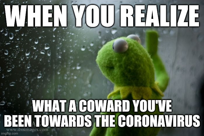 I've come to realize that continuing on to be a coward towards corona won't make things right | WHEN YOU REALIZE; WHAT A COWARD YOU'VE BEEN TOWARDS THE CORONAVIRUS | image tagged in kermit window,coronavirus,memes | made w/ Imgflip meme maker