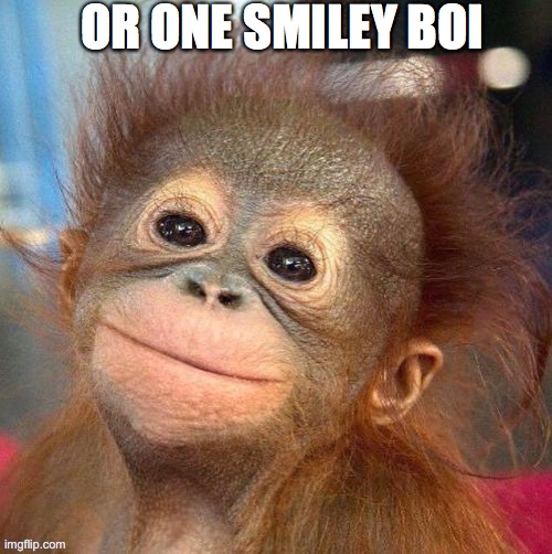 OR ONE SMILEY BOI | made w/ Imgflip meme maker