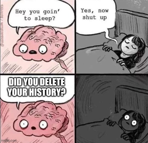 Did YOU delete your history? | DID YOU DELETE YOUR HISTORY? | image tagged in waking up brain | made w/ Imgflip meme maker