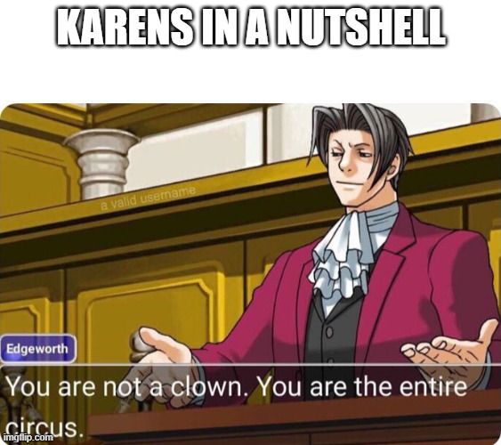 dont know if this is an original |  KARENS IN A NUTSHELL | image tagged in you are not a clown you are the entire circus | made w/ Imgflip meme maker