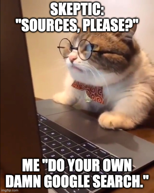research cat | SKEPTIC: "SOURCES, PLEASE?"; ME "DO YOUR OWN DAMN GOOGLE SEARCH." | image tagged in research cat | made w/ Imgflip meme maker