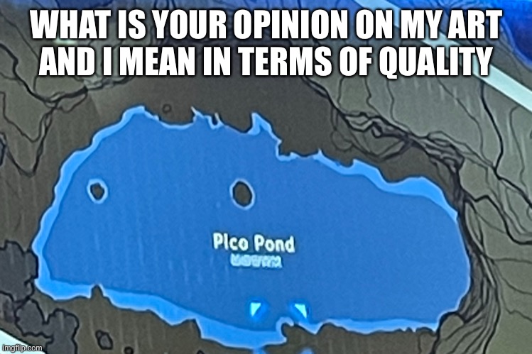 Pico pond | WHAT IS YOUR OPINION ON MY ART
AND I MEAN IN TERMS OF QUALITY | image tagged in pico pond | made w/ Imgflip meme maker