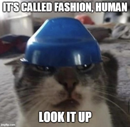 Cat's Bowl Hat | IT'S CALLED FASHION, HUMAN; LOOK IT UP | image tagged in cat's bowl hat,memes,cats,Catmemes | made w/ Imgflip meme maker