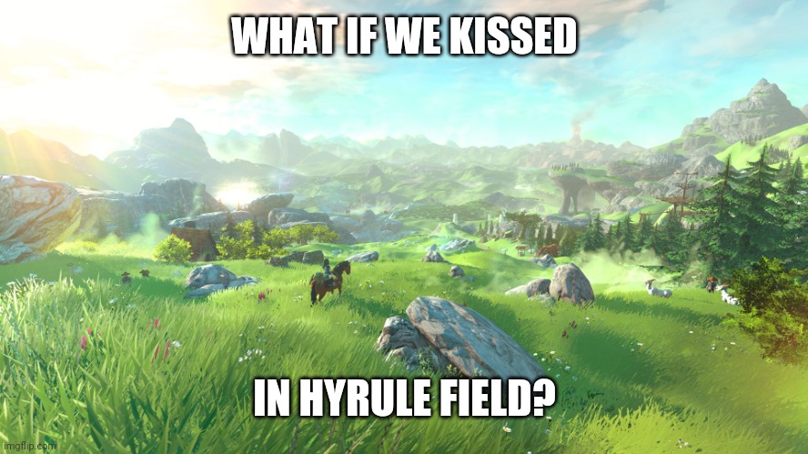 Zelda Wii U Hyrule Field | WHAT IF WE KISSED; IN HYRULE FIELD? | image tagged in zelda wii u hyrule field | made w/ Imgflip meme maker