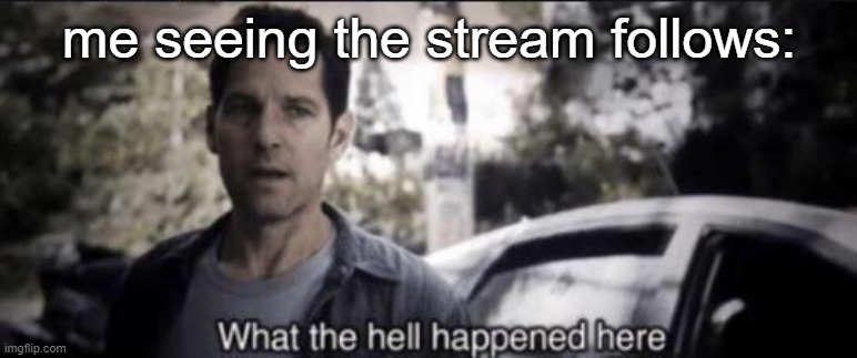 re | me seeing the stream follows: | made w/ Imgflip meme maker