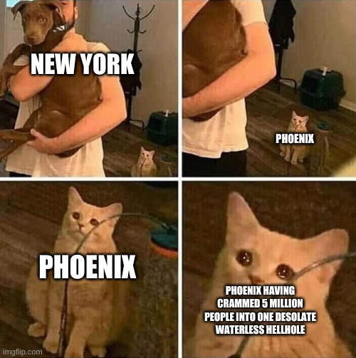 Ignored cat | NEW YORK; PHOENIX; PHOENIX; PHOENIX HAVING CRAMMED 5 MILLION PEOPLE INTO ONE DESOLATE WATERLESS HELLHOLE | image tagged in ignored cat | made w/ Imgflip meme maker