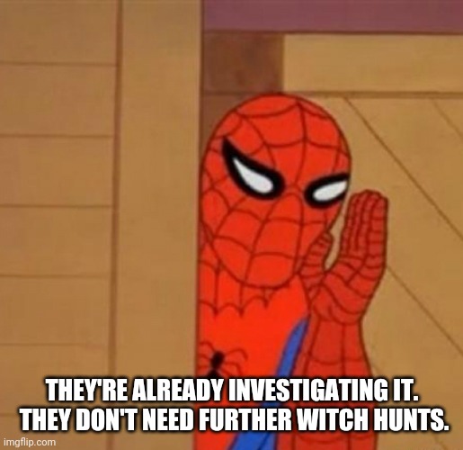 Spider-Man Whisper | THEY'RE ALREADY INVESTIGATING IT.
 THEY DON'T NEED FURTHER WITCH HUNTS. | image tagged in spider-man whisper | made w/ Imgflip meme maker
