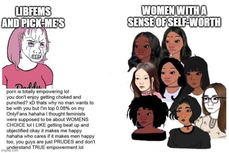 Pickmeishas vs normal women | WOMEN WITH A SENSE OF SELF-WORTH; LIBFEMS AND PICK-ME'S | image tagged in pickmeishas vs normal women | made w/ Imgflip meme maker
