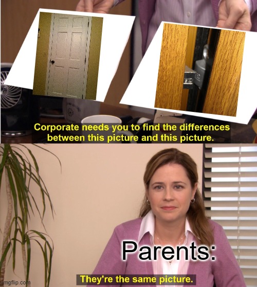 Find The Difference parents edition | Parents: | image tagged in memes,they're the same picture | made w/ Imgflip meme maker