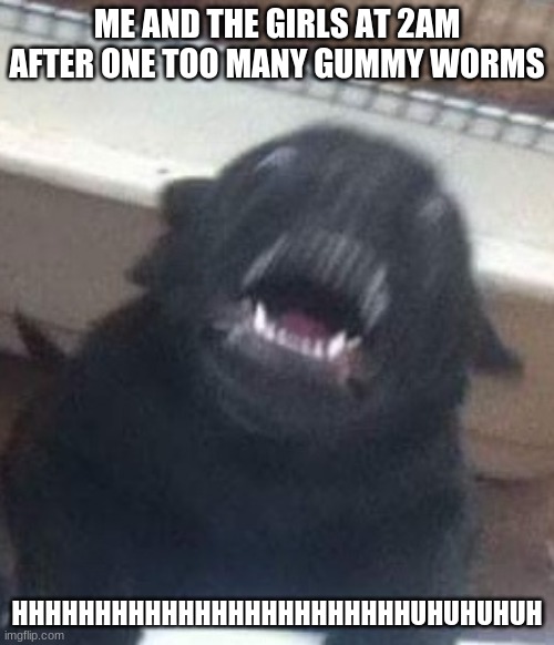 hyper as dicks pup | ME AND THE GIRLS AT 2AM AFTER ONE TOO MANY GUMMY WORMS; HHHHHHHHHHHHHHHHHHHHHHHHUHUHUHUH | image tagged in hyper as dicks pup | made w/ Imgflip meme maker