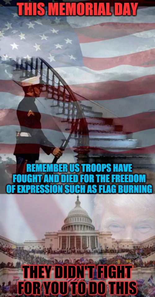 Traitors should take time to reflect... | THIS MEMORIAL DAY; REMEMBER US TROOPS HAVE FOUGHT AND DIED FOR THE FREEDOM OF EXPRESSION SUCH AS FLAG BURNING; THEY DIDN'T FIGHT FOR YOU TO DO THIS | image tagged in memorial day,capitol on january 6 | made w/ Imgflip meme maker