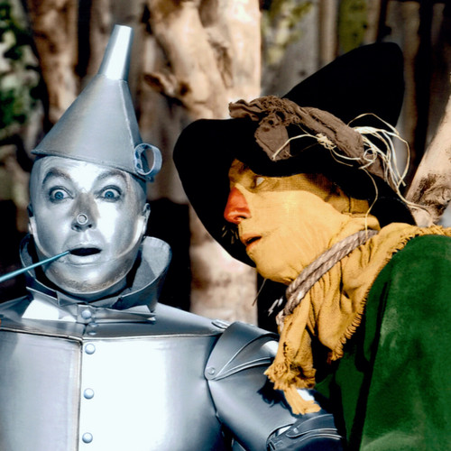 High Quality Tin Man and Scarecrow Blank Meme Template