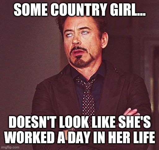 Robert Downey Jr Annoyed | SOME COUNTRY GIRL... DOESN'T LOOK LIKE SHE'S WORKED A DAY IN HER LIFE | image tagged in robert downey jr annoyed | made w/ Imgflip meme maker