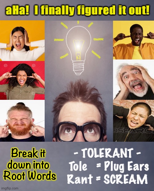 Other Viewpoints?   Not in MY Head | aHa!  I finally figured it out! Break it 
down into 
Root Words; - TOLERANT -
 Tole   = Plug Ears
Rant = SCREAM | image tagged in dems cant handle the truth,without lies the democrat party would die,leftists love to lie,leftist equals marxist | made w/ Imgflip meme maker
