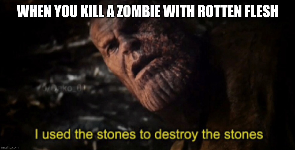I used the stones to destroy the stones | WHEN YOU KILL A ZOMBIE WITH ROTTEN FLESH | image tagged in i used the stones to destroy the stones | made w/ Imgflip meme maker