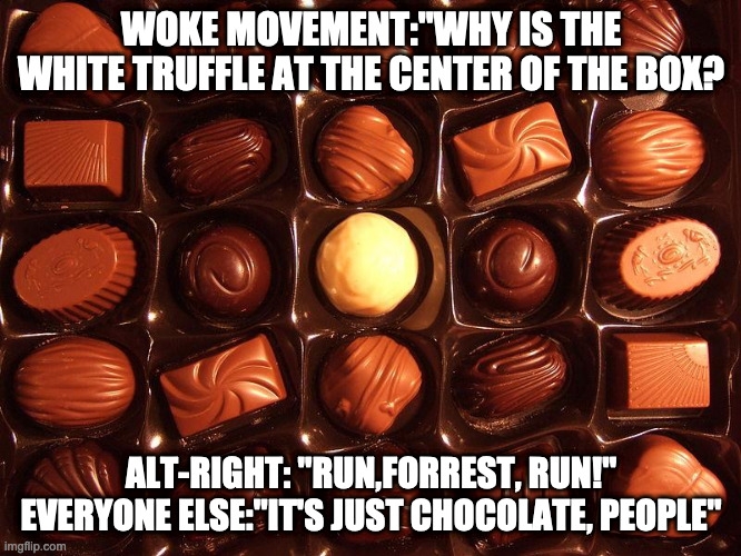 WOKE MOVEMENT:"WHY IS THE WHITE TRUFFLE AT THE CENTER OF THE BOX? ALT-RIGHT: "RUN,FORREST, RUN!" EVERYONE ELSE:"IT'S JUST CHOCOLATE, PEOPLE" | image tagged in politics lol | made w/ Imgflip meme maker