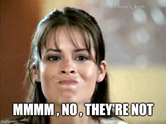 mmm not really... | MMMM , NO , THEY'RE NOT | image tagged in mmm not really | made w/ Imgflip meme maker
