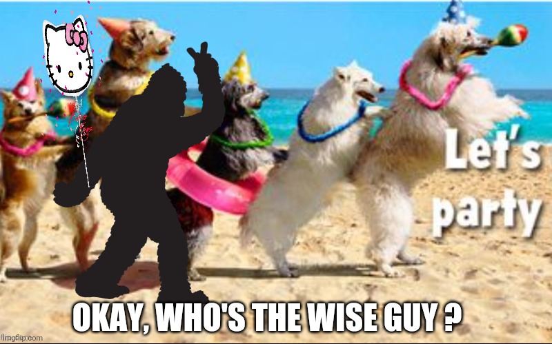 Okay, Who's The Wise Guy ? | OKAY, WHO'S THE WISE GUY ? | image tagged in dogs,beach party,funny,wise guy,bigfoot,hello kitty | made w/ Imgflip meme maker