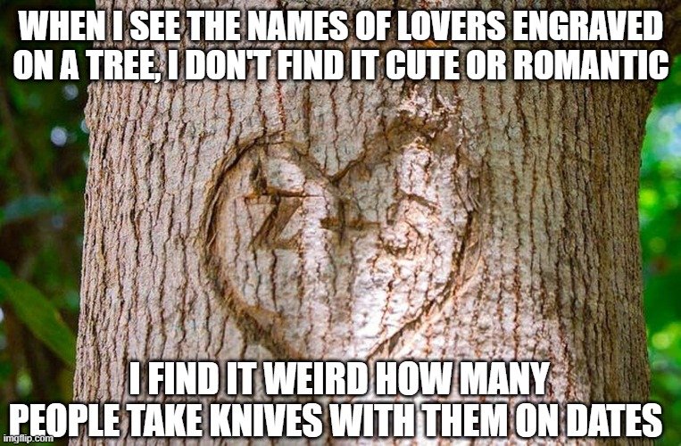 Knives Out |  WHEN I SEE THE NAMES OF LOVERS ENGRAVED ON A TREE, I DON'T FIND IT CUTE OR ROMANTIC; I FIND IT WEIRD HOW MANY PEOPLE TAKE KNIVES WITH THEM ON DATES | image tagged in dark humor | made w/ Imgflip meme maker