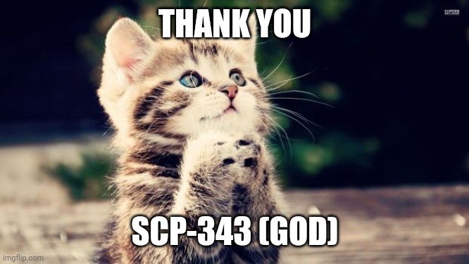 Thank you Lord | THANK YOU SCP-343 (GOD) | image tagged in thank you lord | made w/ Imgflip meme maker