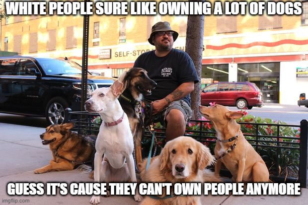 Ownership | WHITE PEOPLE SURE LIKE OWNING A LOT OF DOGS; GUESS IT'S CAUSE THEY CAN'T OWN PEOPLE ANYMORE | image tagged in dog walker | made w/ Imgflip meme maker