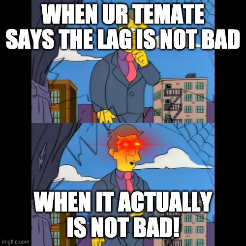 Skinner Self Crit | WHEN UR TEMATE SAYS THE LAG IS NOT BAD; WHEN IT ACTUALLY IS NOT BAD! | image tagged in skinner self crit | made w/ Imgflip meme maker