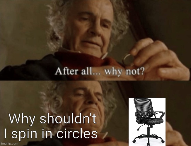 I mean who doesnt have this urge |  Why shouldn't I spin in circles | image tagged in after all why not | made w/ Imgflip meme maker
