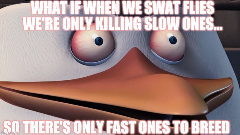 Shook Skipper | WHAT IF WHEN WE SWAT FLIES WE'RE ONLY KILLING SLOW ONES... SO THERE'S ONLY FAST ONES TO BREED | image tagged in shook skipper | made w/ Imgflip meme maker