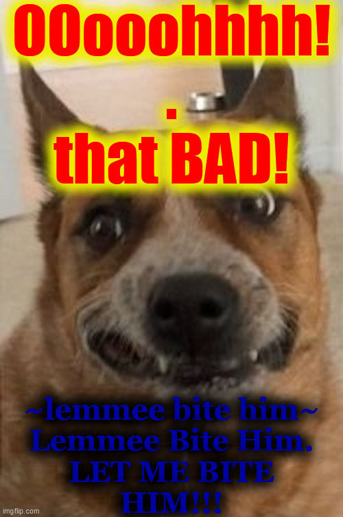 Dog Cringe | OOooohhhh!
.
that BAD! ~lemmee bite him~
Lemmee Bite Him.
LET ME BITE
HIM!!! | image tagged in dog cringe | made w/ Imgflip meme maker