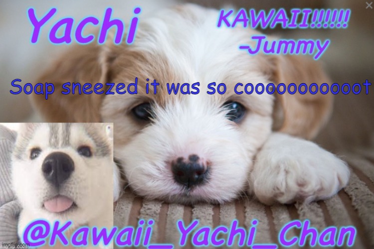 Yachis temp (made by Jummy gummy) | Soap sneezed it was so cooooooooooot | image tagged in yachis temp made by jummy gummy | made w/ Imgflip meme maker