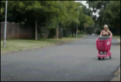 image tagged in gifs,funny