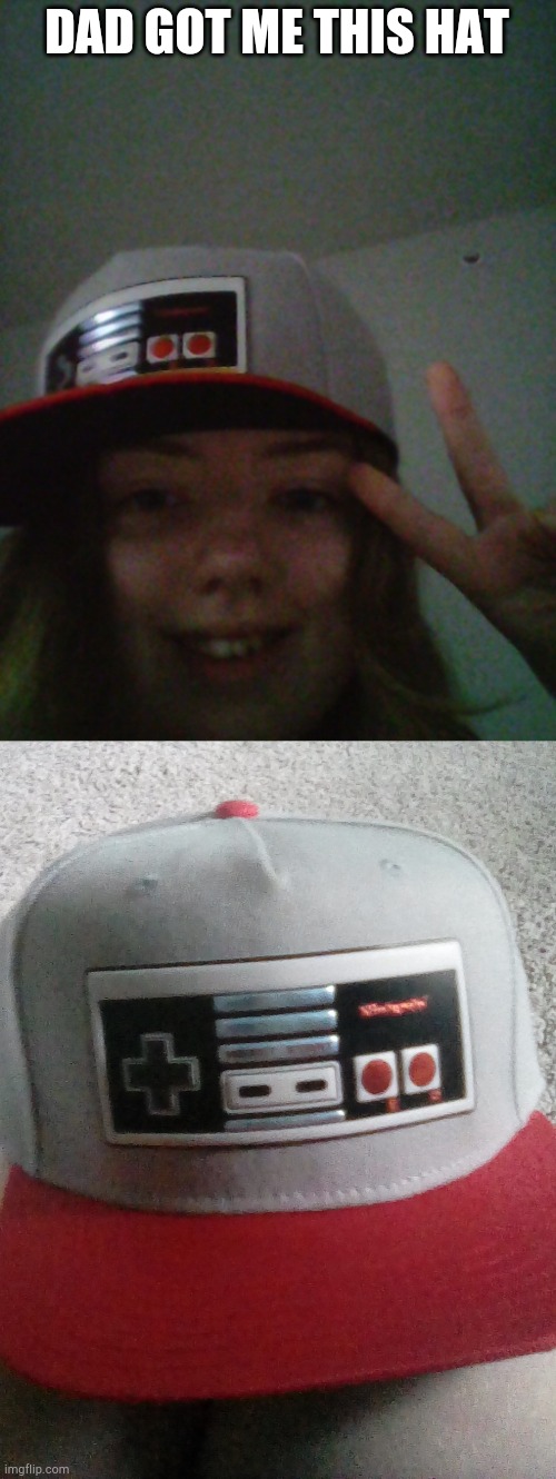 Hat | DAD GOT ME THIS HAT | image tagged in nintendo entertainment system,hat | made w/ Imgflip meme maker