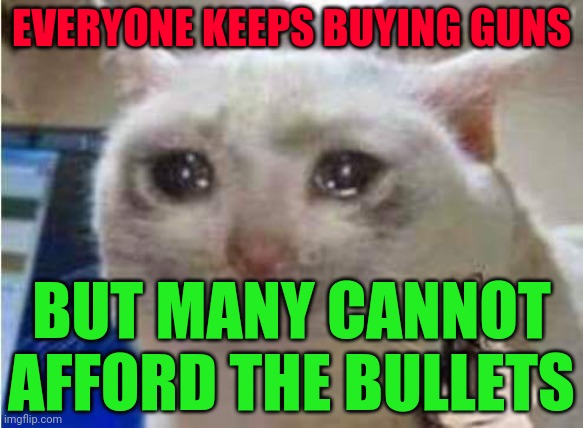 Sad cat with gun | EVERYONE KEEPS BUYING GUNS; BUT MANY CANNOT AFFORD THE BULLETS | image tagged in sad cat with gun | made w/ Imgflip meme maker