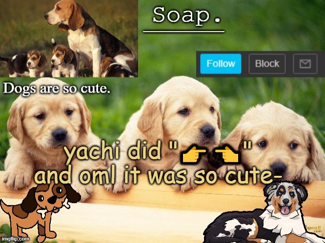 Soap doggo temp | yachi did "👉👈" and oml it was so cute- | image tagged in soap doggo temp ty yachi | made w/ Imgflip meme maker