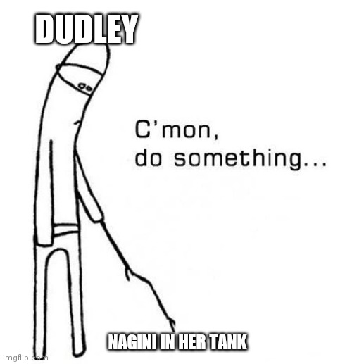 cmon do something | DUDLEY; NAGINI IN HER TANK | image tagged in cmon do something | made w/ Imgflip meme maker