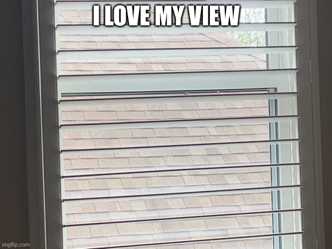 :’D | I LOVE MY VIEW | made w/ Imgflip meme maker