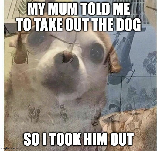 Oh no.... | MY MUM TOLD ME TO TAKE OUT THE DOG; SO I TOOK HIM OUT | image tagged in ptsd chihuahua | made w/ Imgflip meme maker