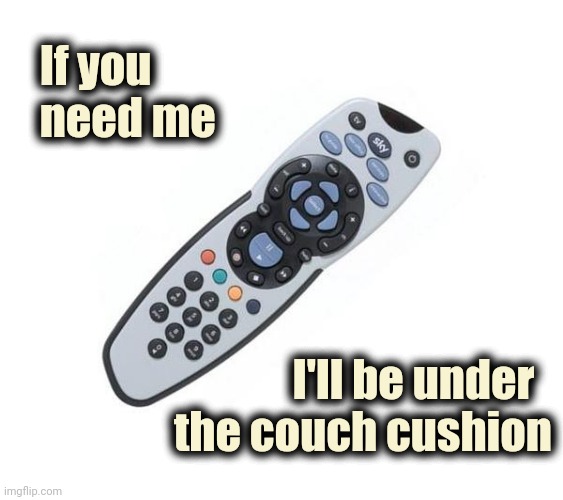 Remote control | If you
  need me I'll be under  
the couch cushion | image tagged in remote control | made w/ Imgflip meme maker