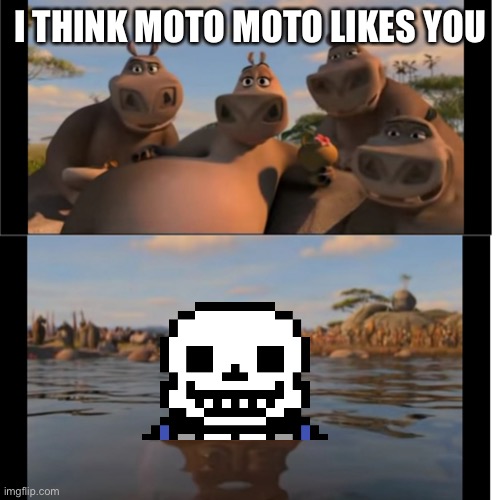 Moto Moto | I THINK MOTO MOTO LIKES YOU | image tagged in moto moto | made w/ Imgflip meme maker