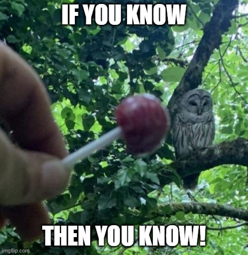 Roll Safe... | IF YOU KNOW; THEN YOU KNOW! | image tagged in humor,owl,lollipop | made w/ Imgflip meme maker
