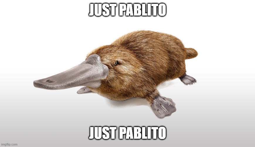 Pablito. | JUST PABLITO; JUST PABLITO | image tagged in just my friend pablito | made w/ Imgflip meme maker