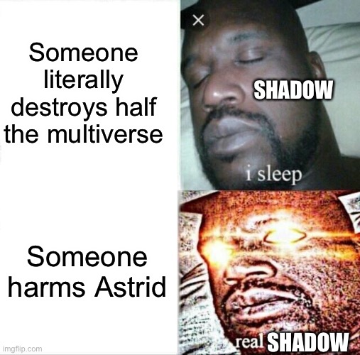 Astrid is her Cat | Someone literally destroys half the multiverse; SHADOW; Someone harms Astrid; SHADOW | image tagged in memes,sleeping shaq | made w/ Imgflip meme maker