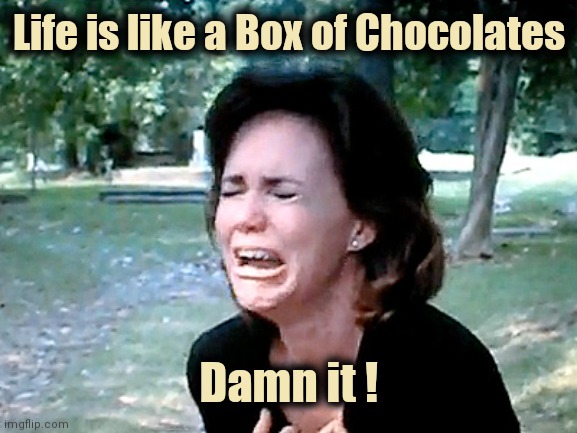 Sally Field | Life is like a Box of Chocolates Damn it ! | image tagged in sally field | made w/ Imgflip meme maker
