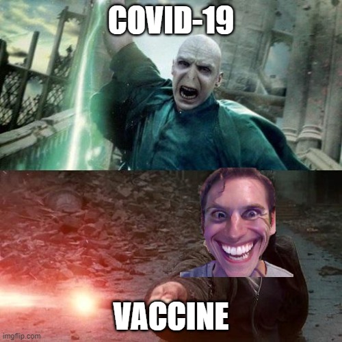 Harry Potter meme | COVID-19; VACCINE | image tagged in harry potter meme | made w/ Imgflip meme maker