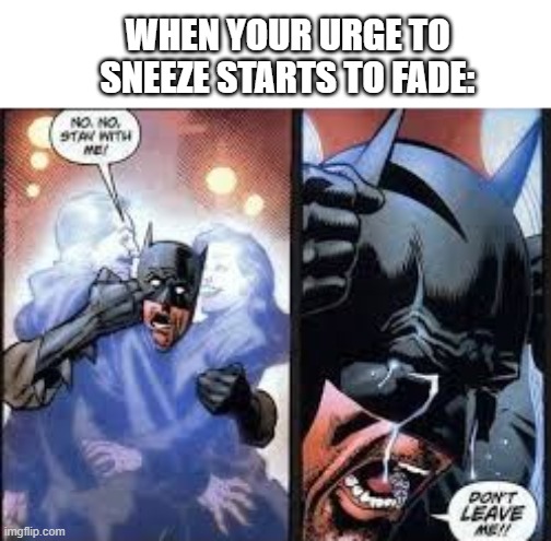 I hate when this happens |  WHEN YOUR URGE TO SNEEZE STARTS TO FADE: | image tagged in no no stay with me | made w/ Imgflip meme maker