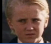 High Quality Concerned/confused/dissaproving draco Blank Meme Template